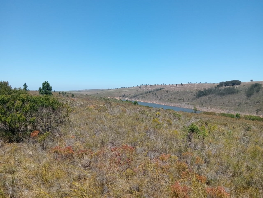 Commercial Property for Sale in Humansdorp Rural Eastern Cape
